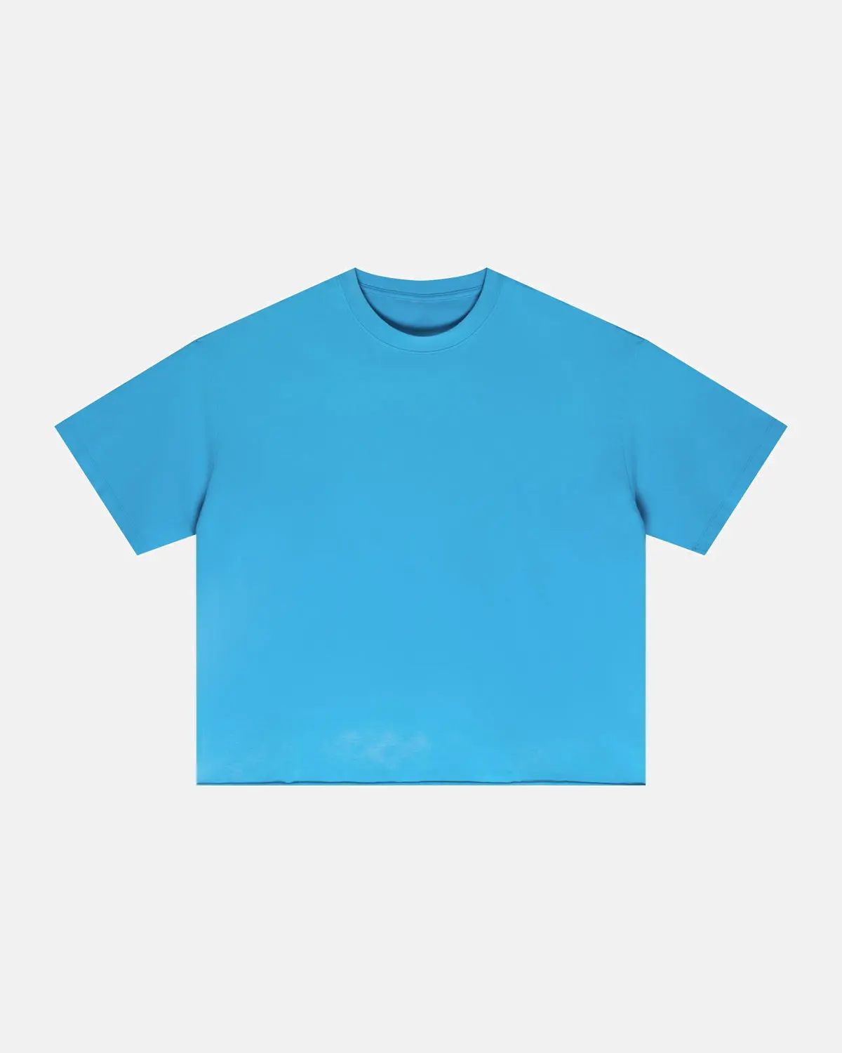 Monkey Washed Boxy Cropped T-Shirt | Inflation Streetwear - Image 15
